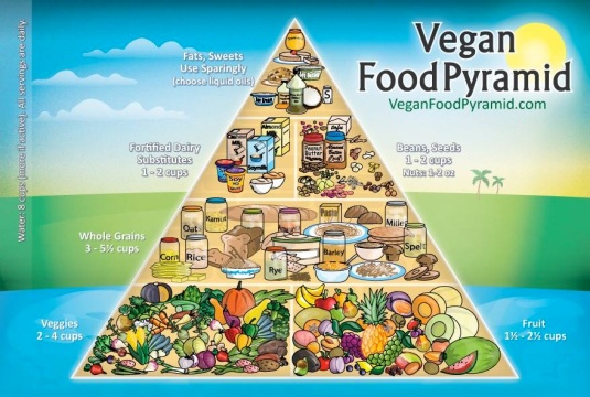 paleo vegan blog vegan food pyramid